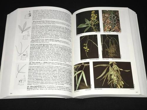 TREES AND SHRUBS OF MPUMALANGA AND KRUGER NATIONAL PARK