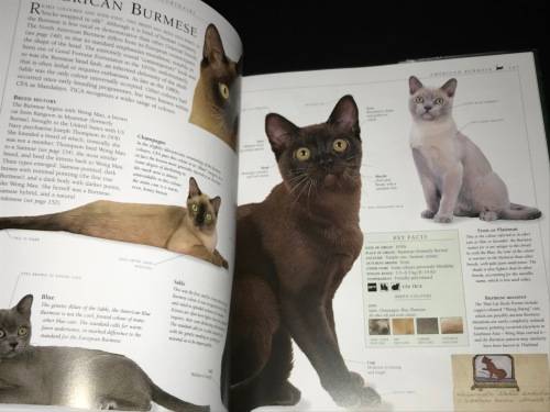THE ENCYCLOPEDIA OF THE CAT BY DR BRUCE FOGLE DK BOOKS