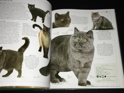 THE ENCYCLOPEDIA OF THE CAT BY DR BRUCE FOGLE DK BOOKS