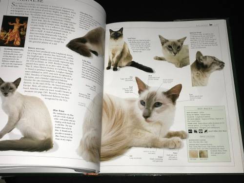 THE ENCYCLOPEDIA OF THE CAT BY DR BRUCE FOGLE DK BOOKS