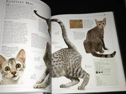THE ENCYCLOPEDIA OF THE CAT BY DR BRUCE FOGLE DK BOOKS