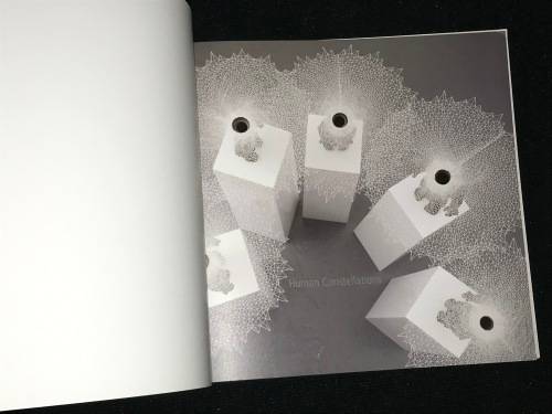 HUMAN CONSTELLATIONS BY KIM LIEBERMAN