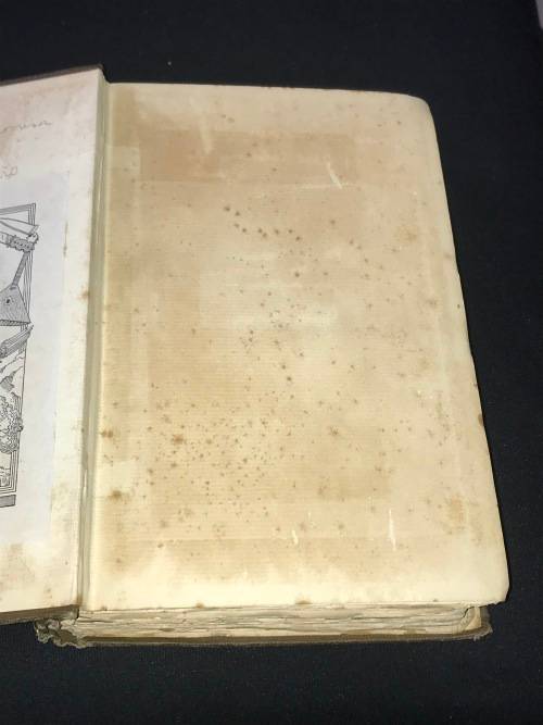 BUDDHISM IN CHRISTENDOM OR JESUS THE ESSENE BY ARTHUR LILLIE 1887
