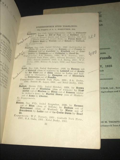 VINTAGE SALE OF THOROUGHBRED YEARLINGS DURBAN / WESTERN PROVINCE 1930'S CATALOGUES