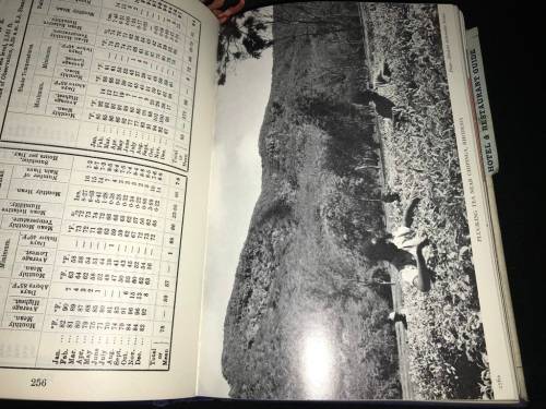 YEAR BOOK & GUIDE TO SOUTHERN AFRICA 1966