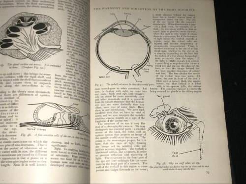 THE SCIENCE OF LIFE BY H.G. WELLS, JULIAN HUXLEY AND G.P. WELLS 1931