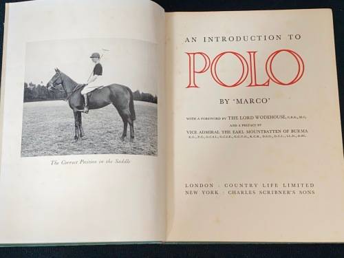 AN INTRODUCTION TO POLO BY MARCO