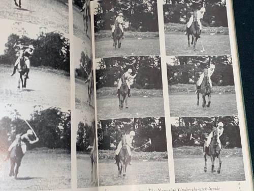 AN INTRODUCTION TO POLO BY MARCO