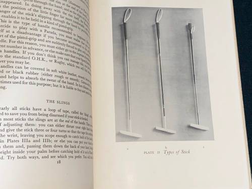 AN INTRODUCTION TO POLO BY MARCO
