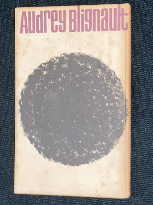 OM DIE SON TE AANSKOU DEUR AUDREY BLIGNAULT