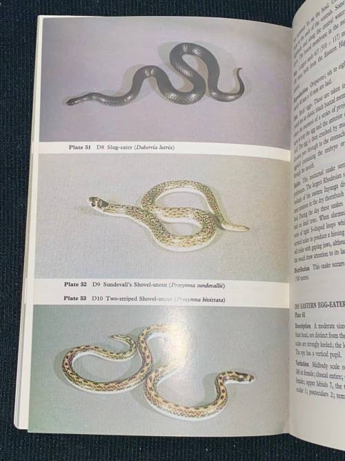 SNAKES OF RHODESIA BY D.G. BROADLEY AND E.V. COCK - BUNDU SERIES