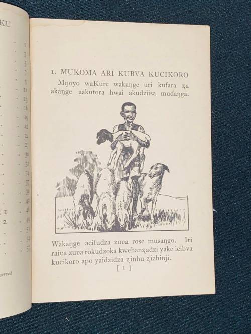 RUGWARO RWA BADUKU - SHONA PRIMER