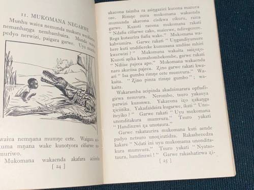 RUGWARO RWA BADUKU - SHONA PRIMER