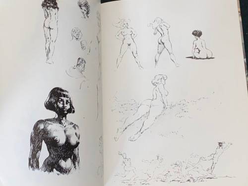 FRANK FRAZETTA BOOK THREE