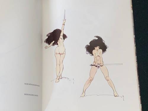 FRANK FRAZETTA BOOK THREE