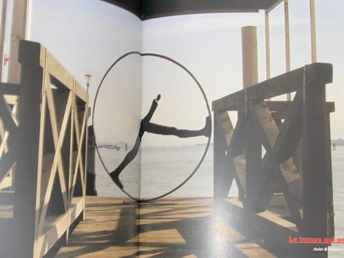 NATHALIE DECOSTER A WORLD IN MOTION.../ UN MONDE EN MARCHE...
