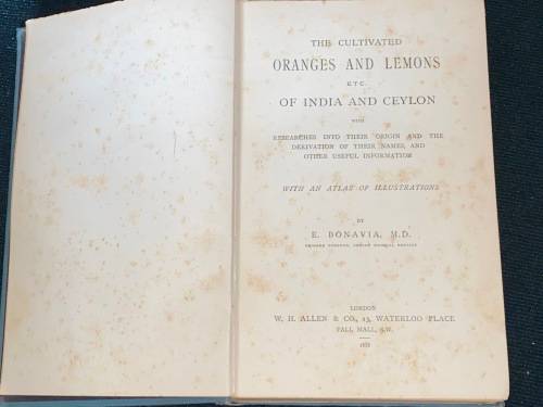 THE CULTIVATED ORANGES AND LEMONS ETC OF INDIA AND CEYLON BY E. BONAVIA  1888