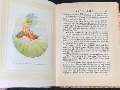 THE WATER BABIES 16 COLOUR PLATES BY HARRY G. THEAKER