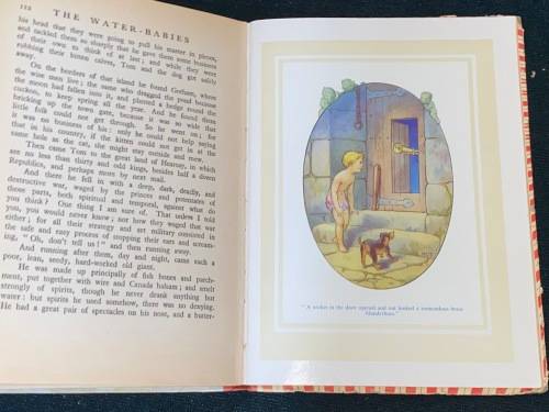 THE WATER BABIES 16 COLOUR PLATES BY HARRY G. THEAKER