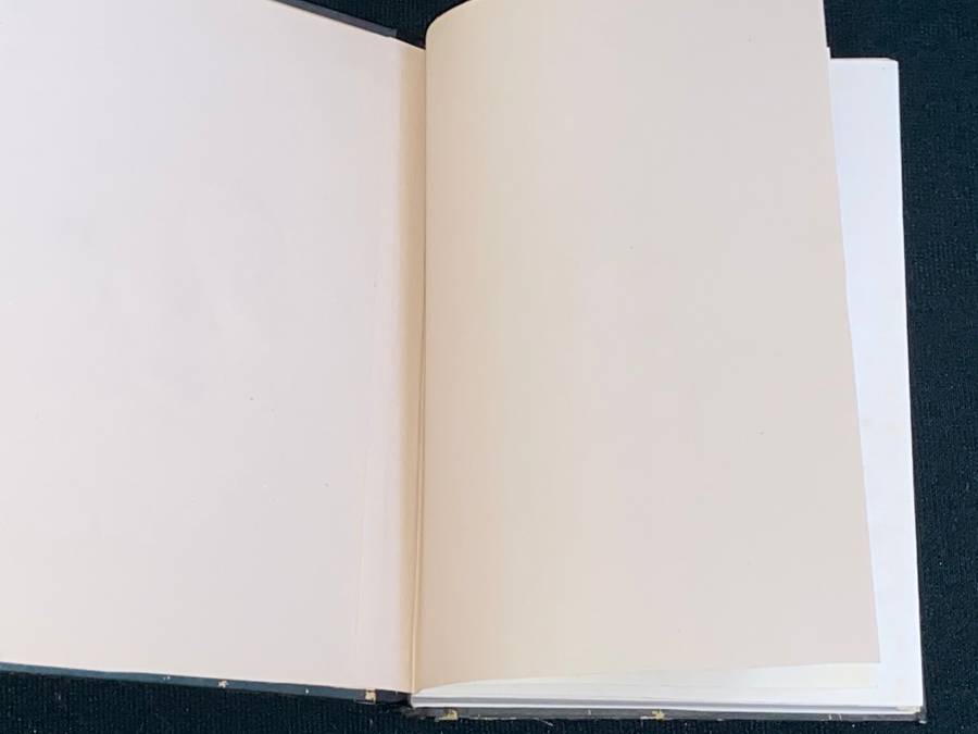 THE VISION OF DANTE ALIGHIERI FLORENTINE EDITION