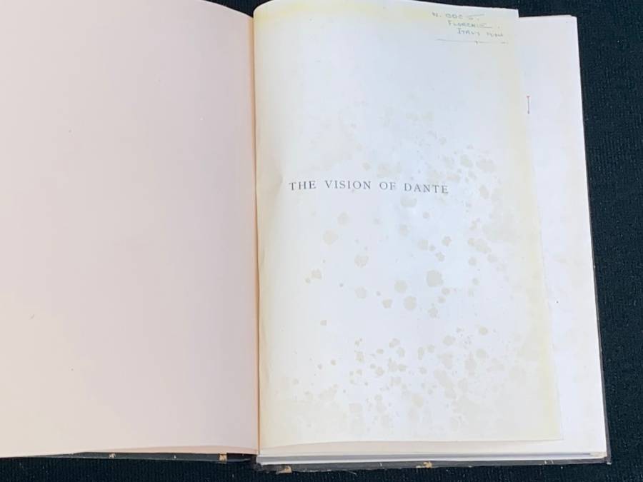 THE VISION OF DANTE ALIGHIERI FLORENTINE EDITION
