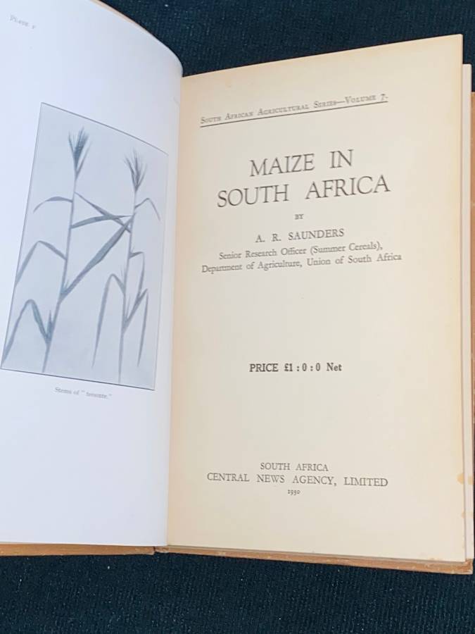 MAIZE IN SOUTH AFRICA BY A.R. SAUNDERS 1930 S.A. AGRICULTURAL SERIES