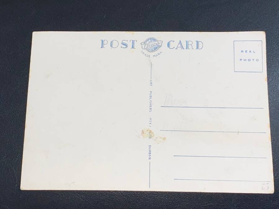VINTAGE ELEPHANT COW DURBAN POST CARD