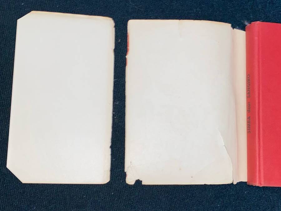 SIMBA DEUR SANGIRO (A.A PIENAAR)