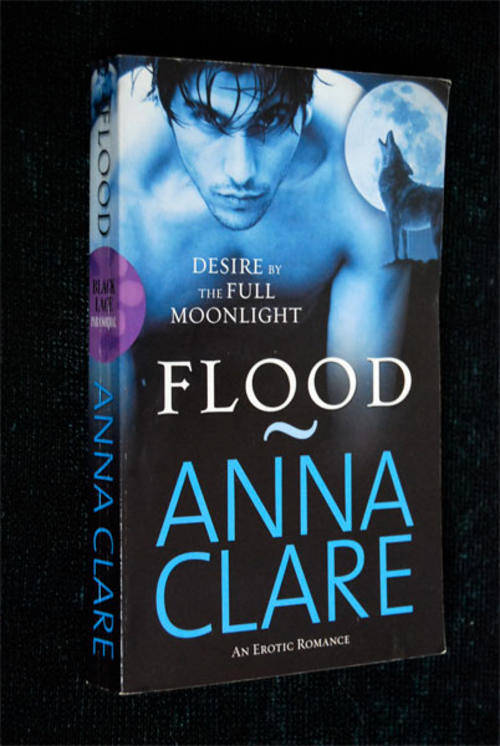 FLOOD BY ANNA CLARE - EROTIC FICTION