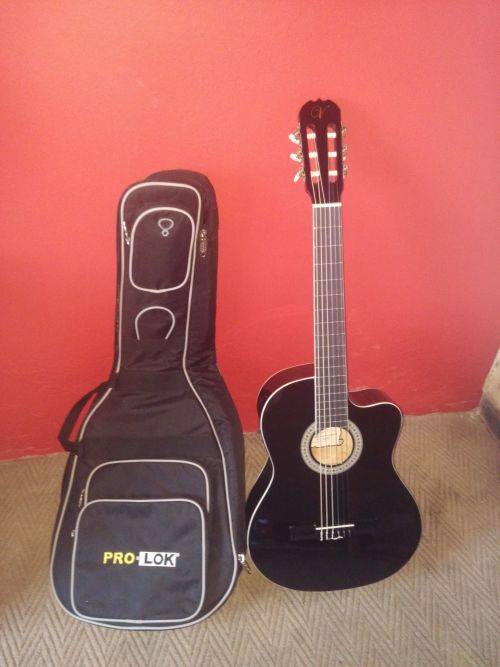 Vizcaya Classical Cutaway Guitar + free bag