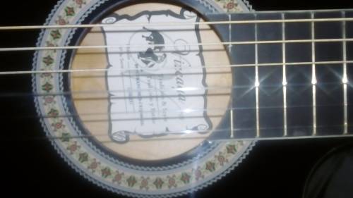 Vizcaya Classical Cutaway Guitar + free bag