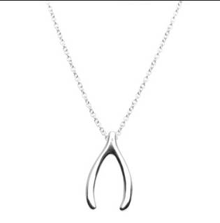Gorgeous Wishbone pendant and chain