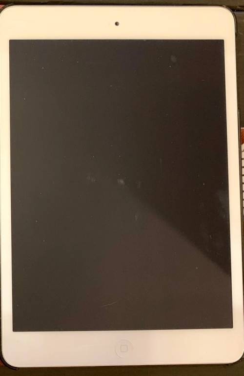 Apple Ipad mini A1432