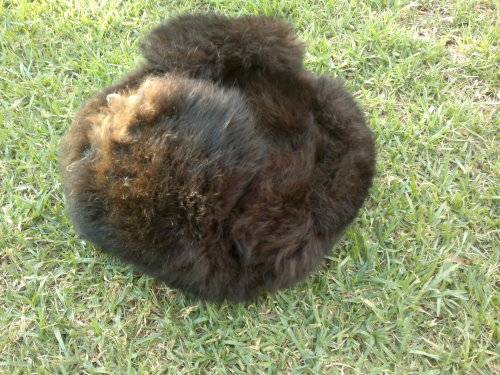 vintage Russian  hat