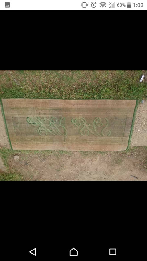 RARE FIND A ORIGINAL VINTAGE SAR CARPET.FAIR CONDITION