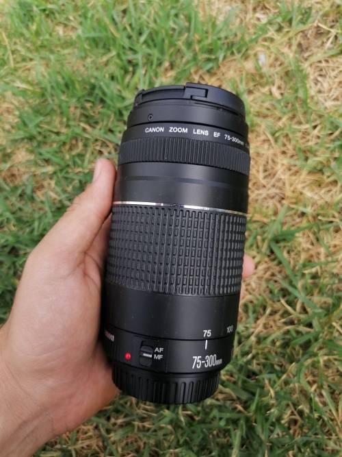 Canon EF 75-300mm III Zoom Lens for Canon SLR Cameras