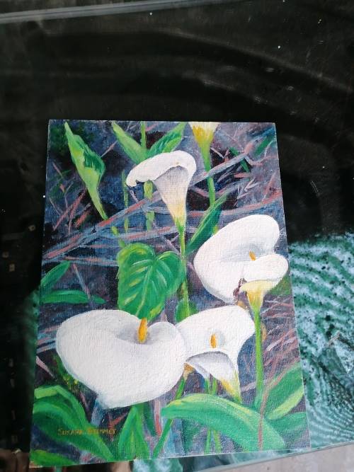 Susara Stemmet painting