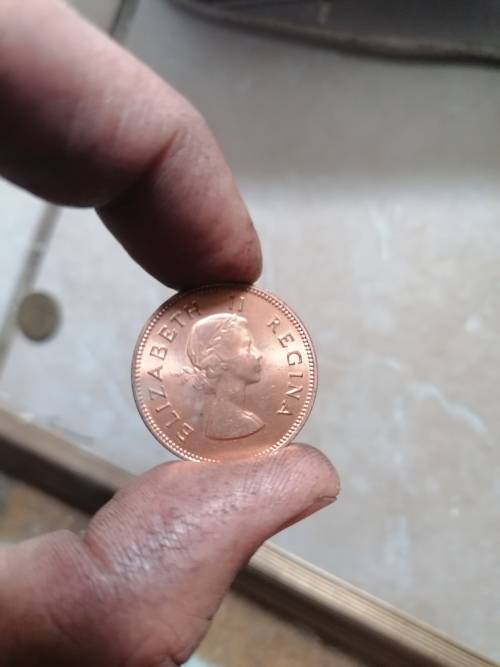 Nice condition south african 1960 1/2d