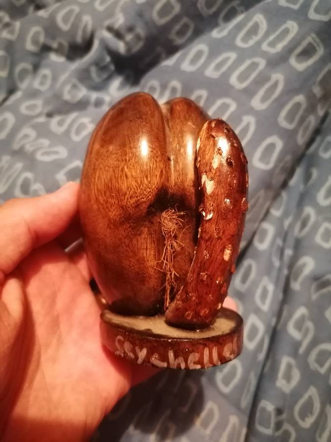 Coco de mer seychelles