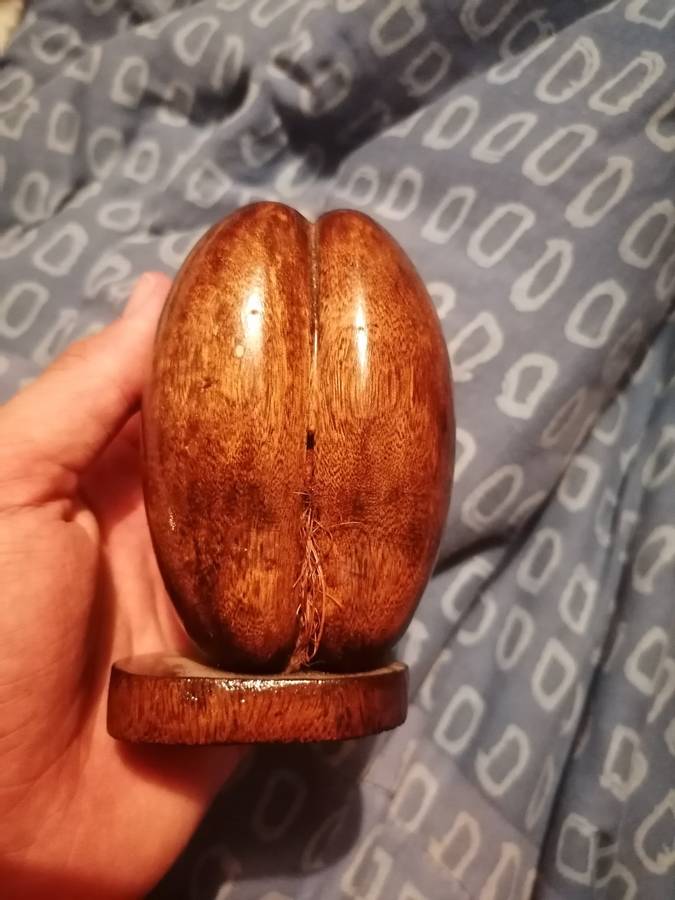 Coco de mer seychelles