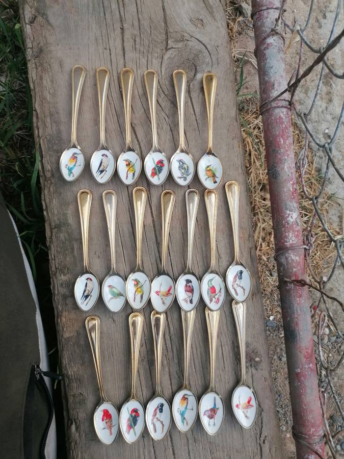 VINTAGE GOLD-PLATED STAINLESS STEEL & ENAMEL TEASPOONS OF SOUTH AFRICAN BIRDS 19