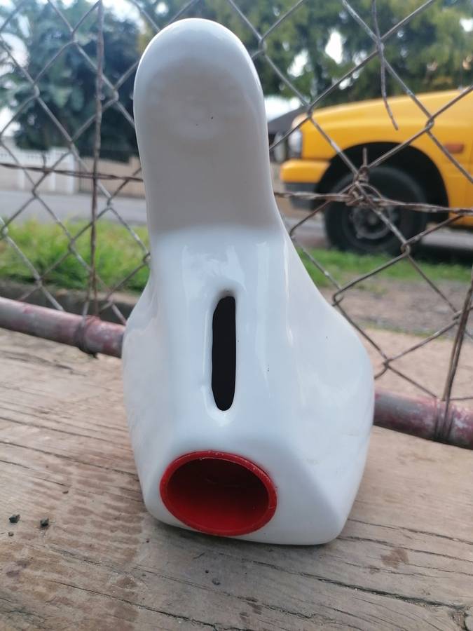 Cheetah rugby Money Box