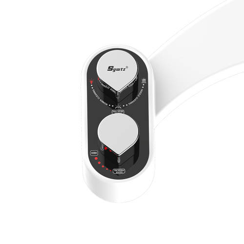 Multifunction toilet seat bidet