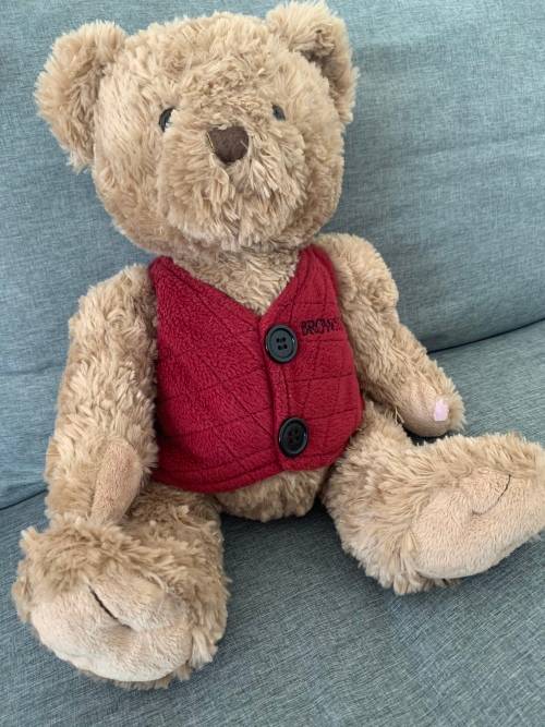 **Crazy Sale : Get this lovely Mr Brown Teddy**