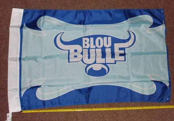 Bulls Flag - Medium