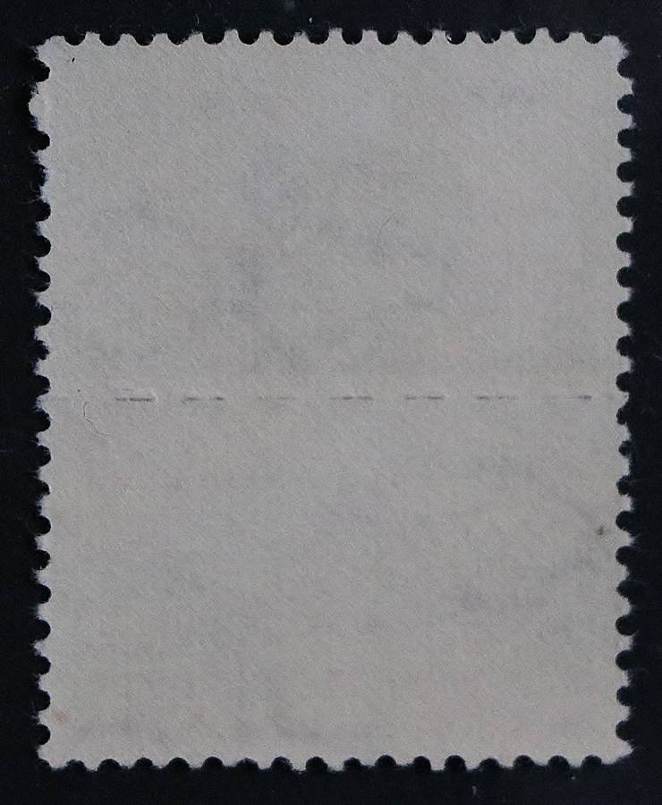 SACC 102: 1942-44. War Eff. Reduced size. 1s brown pair. MNH.