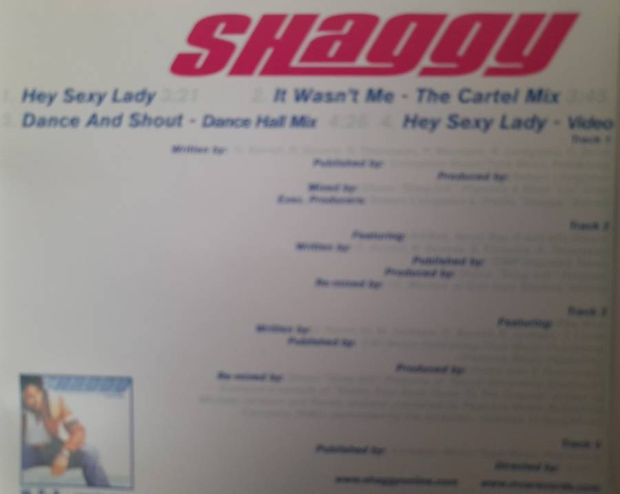 Shaggy - Hey Sexy Lady