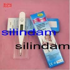 DIGITAL THERMOMETER