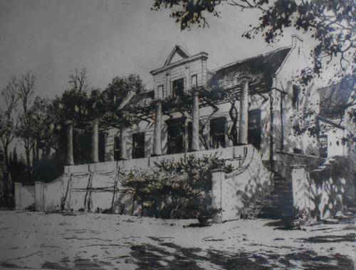 TOKIA CONSTANTIA - after Thinus de Jongh