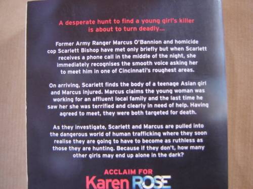 Karen Rose Alone in the Dark